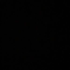 Meet your Posher, Audrey anne